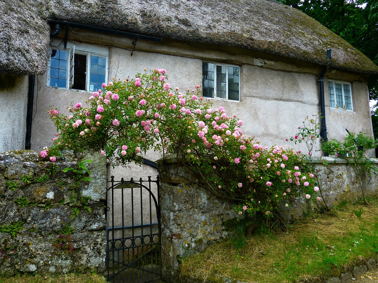 Haus aus Rosen